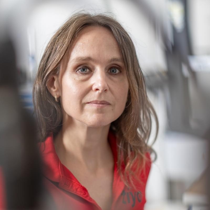 Štěpánka Zamouřilová, vedoucí týmu, Tiyo Štěpánka Zamouřilová, vedoucí týmu, Tiyo